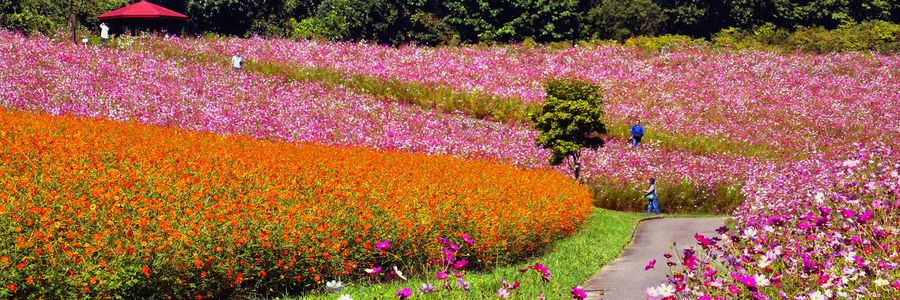 遠軽町の風景　太陽の丘公園P