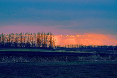 十勝の風景2227　優しい夕暮れ
