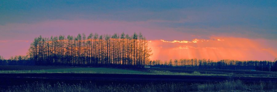 十勝の風景2228　優しい夕暮れP