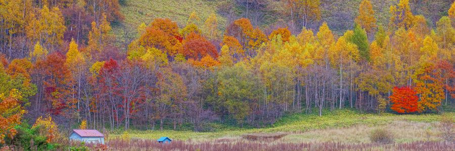 十勝の風景2181　山の中の小さな家P