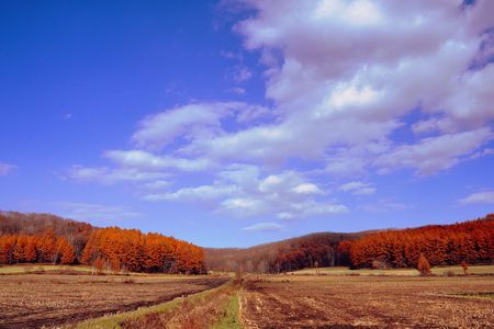 十勝の風景2190　秋の空
