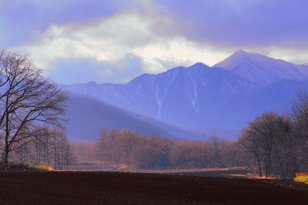 十勝の風景2231　晩秋