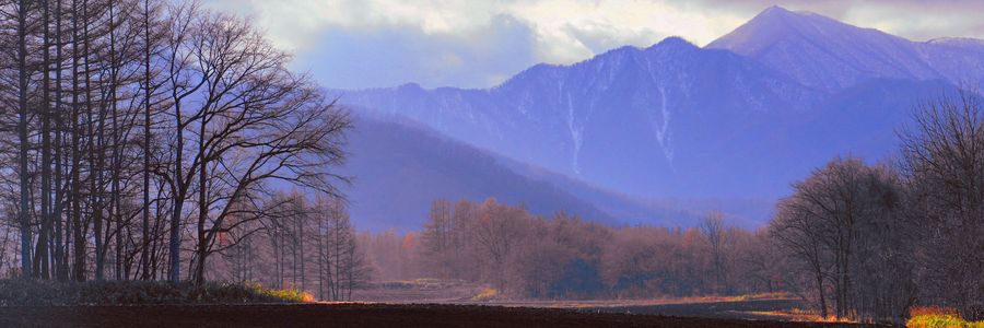 十勝の風景2232　晩秋P