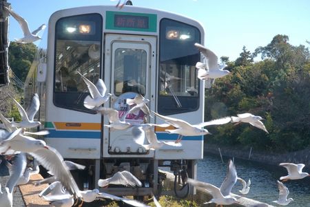 KAMOME Station 2025 Nov. Ⅱ