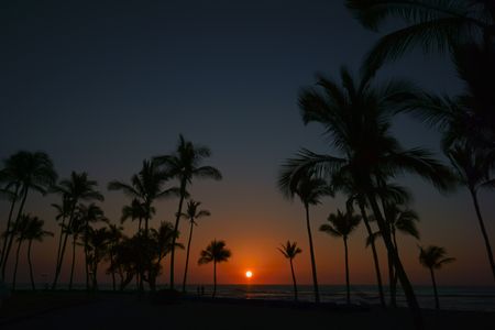 sunset　beach