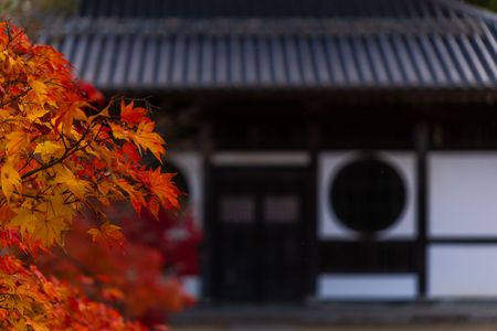 井山宝福寺