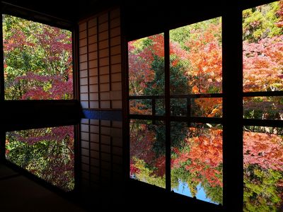 リフレクション