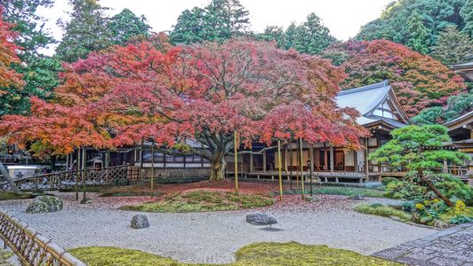 雷山 千如寺