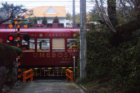 UMEBOSHI TRAIN