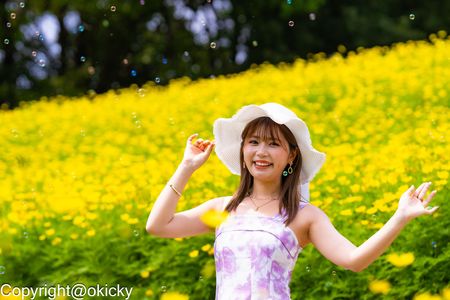 夏の花