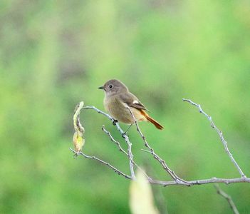 ようこそジョビちゃん(2025.10.30)