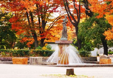 近隣の紅葉(2025.11.18)