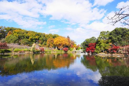錦秋の公園(2025.11.19)