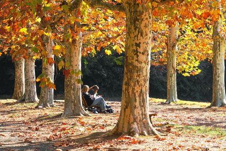 陽だまりで(2025.11.21)