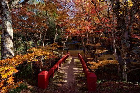 紅葉と赤い橋