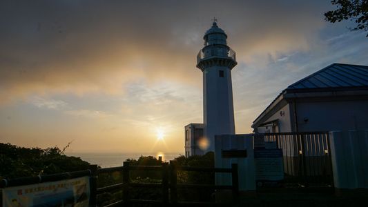 朝、駆け上がった先…