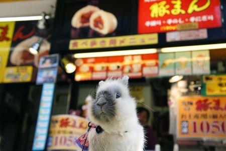 中華街で豚マン待ち。
