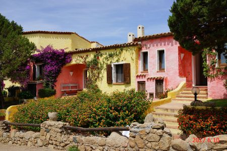 花に包まれたカラフルな民家