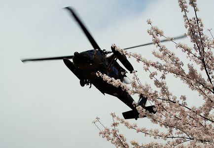 自衛隊桜祭り