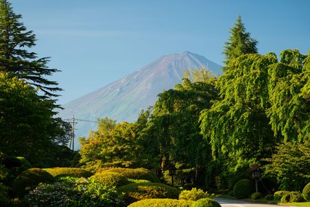 ある夏の朝の富士山