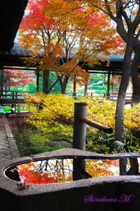 今年最後の紅葉・建仁寺