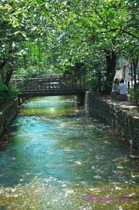 京都木屋町の風景