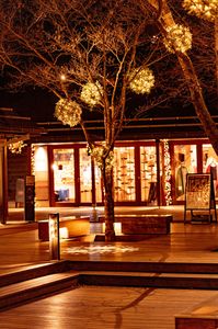 深まる秋のハルニレテラス