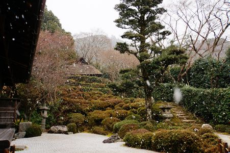 雪の京都、金福寺
