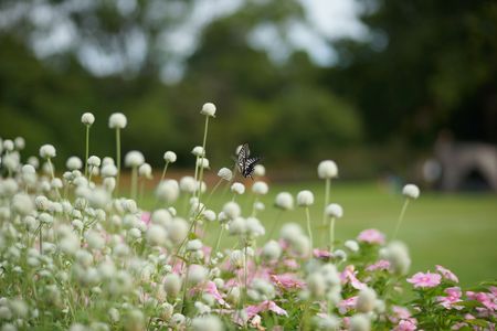 やわらかな時間