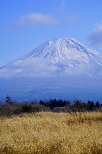 北口本宮冨士浅間神社