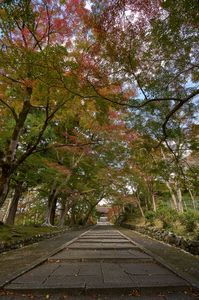 毘沙門堂-早秋-