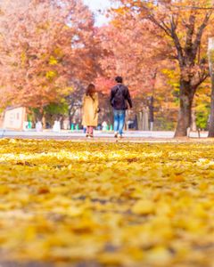 100GMの間違った使い方