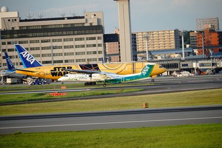 コラボレーション！？