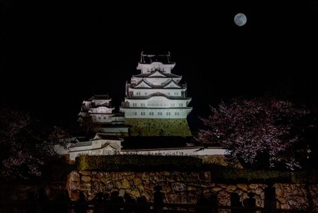 満月の夜の姫路城