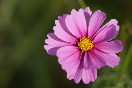 １！　２‼　３!!!