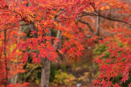 そうだ！京都行こう!(^^)！　part２