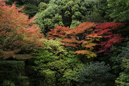 わびさびを感じながら。