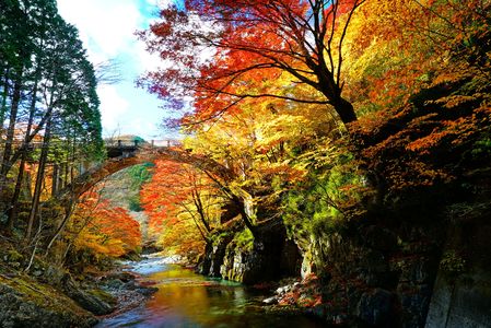 大芦渓谷の秋