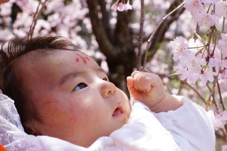 初宮参り～桜の木の下で～