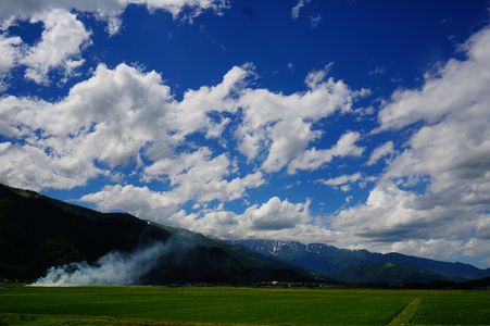 夏の空