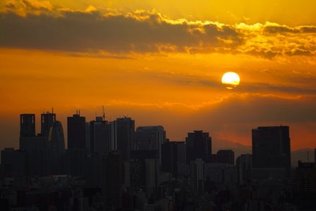 落日(2014.02.21)...新宿超高層ビル群