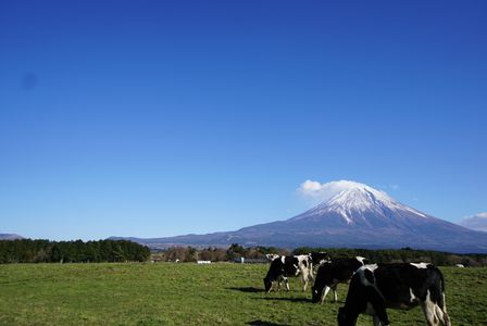 2015〜2016 富士山〜精進湖