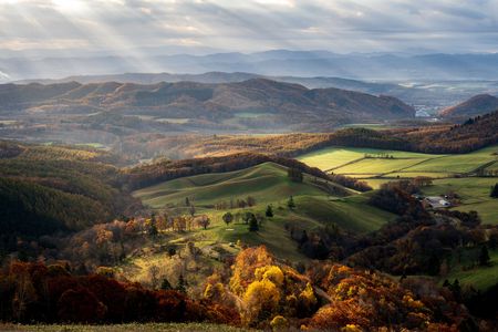 秋　光芒の丘