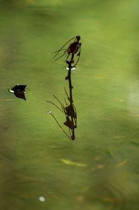 ちょっと不気味