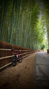 自転車と竹林