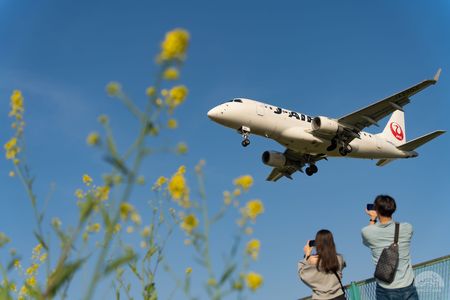 菜の花と旅客機とカップルと  #大阪府#