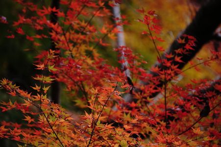 飯森神社中宮社