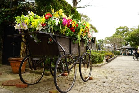 Spring carriage