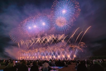 にし阿波の花火2025