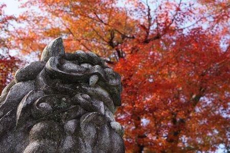船岡山の秋